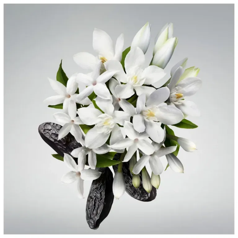 Carolina Herrera Dames Bodyproducten|Good Girl Body Oil