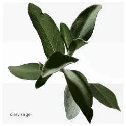 Hermès Heren Bodyproducten|Dames Bodyproducten|H24 Deodorant Stick