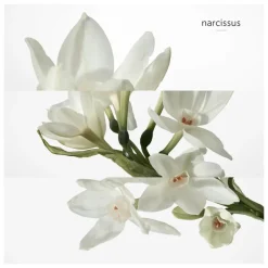 Hermès Heren Bodyproducten|H24 Spray Deodorant