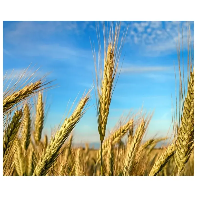 Kiehl's Heren Gezichtsverzorging|Age Defender Eye Repair