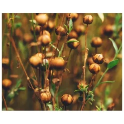 Kiehl's Heren Gezichtsverzorging|Age Defender Eye Repair