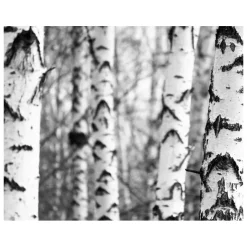 Kiehl's Dagcrème|Clearly Corrective Brightening Smoothing Moisture Dagcrème