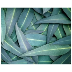 Kiehl's Hand-En Voetverzorging|Ultimate Strength Hand Salve Handcrème