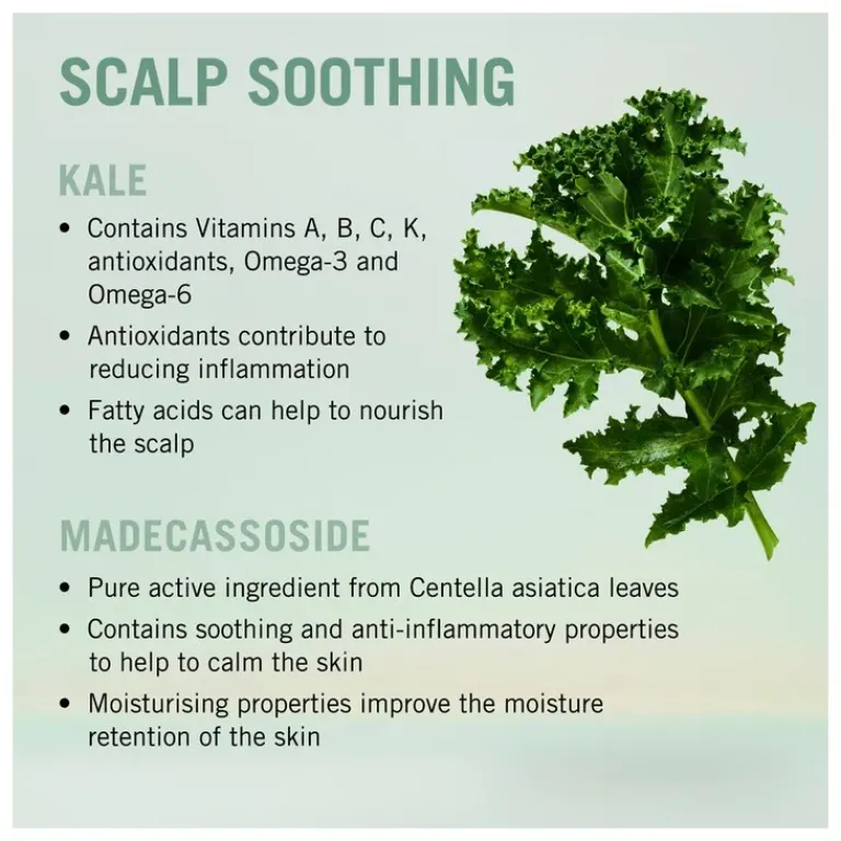 Schwarzkopf Professional Shampoo|BC Scalp-Care Soothing Shampoo