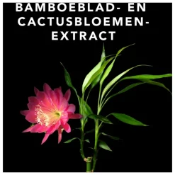 Sebastian Professional Styling Spray|Sebastian Volupt Spray Gel